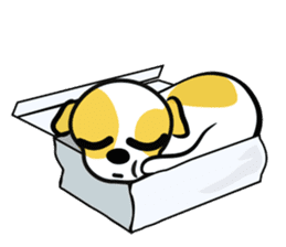 MeowMeowJie sticker #342919