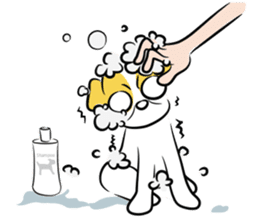 MeowMeowJie sticker #342934