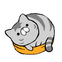 Fat cat Gin-chan