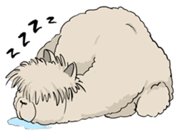 Team Alpaca sticker #346909