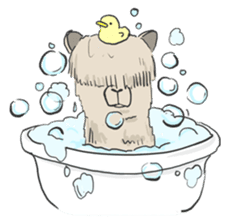 Team Alpaca sticker #346917