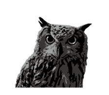 KAMOMAMILE -chamomile&Rosmarinus- sticker #347087