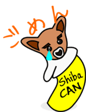 Shiba CAN and Tora CAN 4th sticker #347206