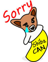 Shiba CAN and Tora CAN 4th (Eng) sticker #351166