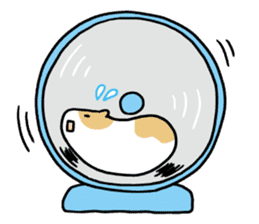 Hamster of my home sticker #352347