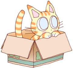 TOM kitten 2 sticker #352476