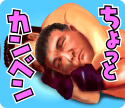 Shinya Hashimoto sticker #352560