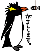 Every day of a penguin sticker #355494