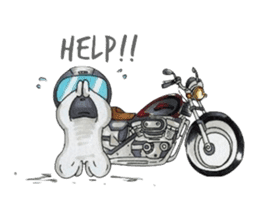 Met rider sticker #355783