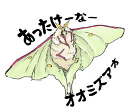 I love moth! sticker #355795