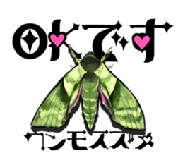 I love moth! sticker #355801
