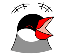 Love Bird Java sparrow sticker #357550
