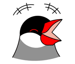 Love Bird Java sparrow sticker #357550
