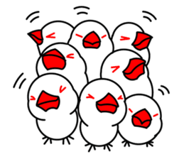 Love Bird Java sparrow sticker #357552