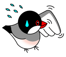 Love Bird Java sparrow sticker #357553