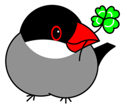 Love Bird Java sparrow sticker #357556
