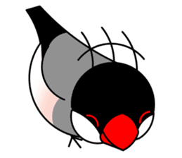 Love Bird Java sparrow sticker #357557