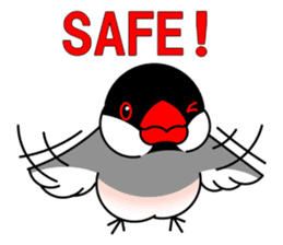 Love Bird Java sparrow sticker #357560