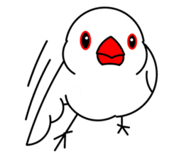 Love Bird Java sparrow sticker #357567