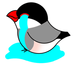 Love Bird Java sparrow sticker #357574