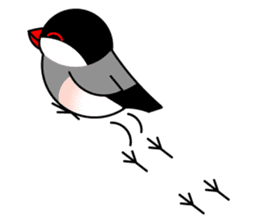 Love Bird Java sparrow sticker #357576