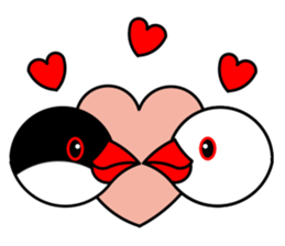 Love Bird Java sparrow sticker #357577