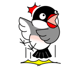 Love Bird Java sparrow sticker #357578
