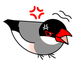 Love Bird Java sparrow sticker #357580