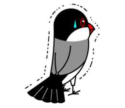 Love Bird Java sparrow sticker #357583
