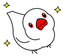 Love Bird Java sparrow sticker #357584