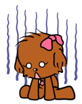 Alice The Teddy Poodle sticker #359212