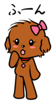 Alice The Teddy Poodle sticker #359214