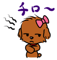 Alice The Teddy Poodle sticker #359224