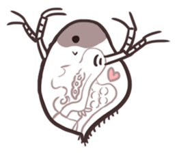 Water fleas and friends sticker #359759
