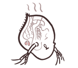 Water fleas and friends sticker #359761