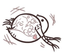 Water fleas and friends sticker #359765