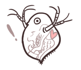 Water fleas and friends sticker #359775