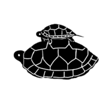 Tortoise life sticker #360068