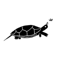 Tortoise life sticker #360070