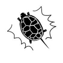 Tortoise life sticker #360074