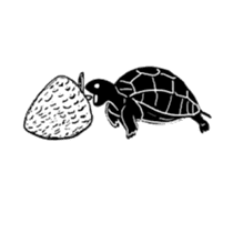 Tortoise life sticker #360078