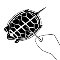 Tortoise life sticker #360079