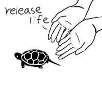 Tortoise life sticker #360083