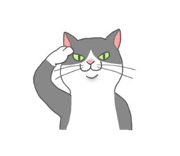 Cat-like sticker #360106