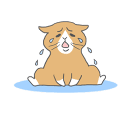 Cat-like sticker #360129