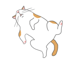 Cat-like sticker #360142