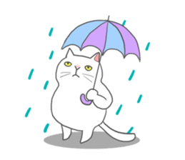 Cat-like sticker #360144