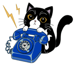 Panda-cat Mink(English version) sticker #360413