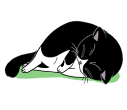 Panda-cat Mink(English version) sticker #360415