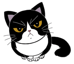 Panda-cat Mink(English version) sticker #360418